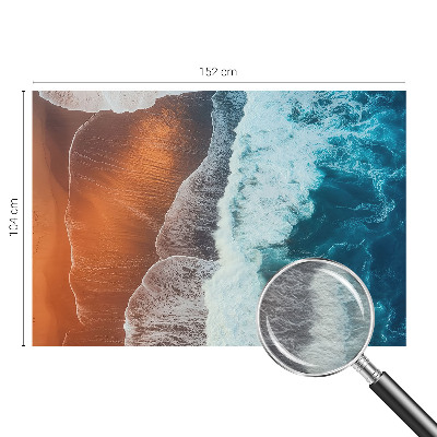 Fototapeta Morská symbióza