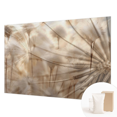 Vliesová fototapeta na stenu Jemné púpavy