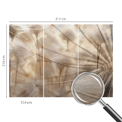 Vliesová fototapeta na stenu Jemné púpavy