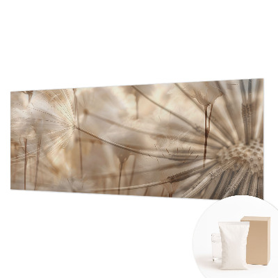 Vliesová fototapeta na stenu Jemné púpavy