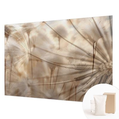 Vliesová fototapeta na stenu Jemné púpavy