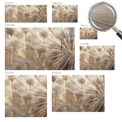 Vliesová fototapeta na stenu Jemné púpavy