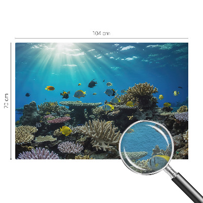 Fotografická tapeta na vliese Podvodný svet