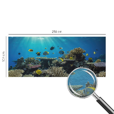 Fotografická tapeta na vliese Podvodný svet