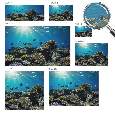 Fotografická tapeta na vliese Podvodný svet