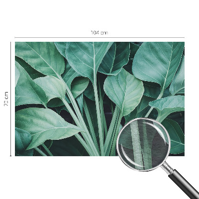 Dekoratívna fototapeta na stenu Zelená príroda