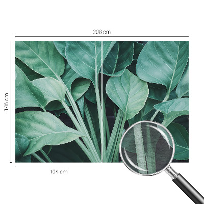 Dekoratívna fototapeta na stenu Zelená príroda