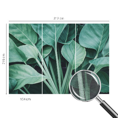 Dekoratívna fototapeta na stenu Zelená príroda