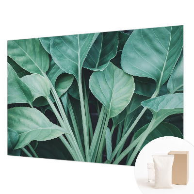 Dekoratívna fototapeta na stenu Zelená príroda