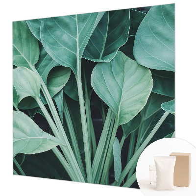 Dekoratívna fototapeta na stenu Zelená príroda