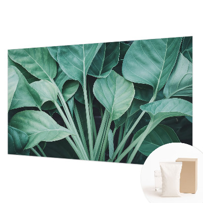 Dekoratívna fototapeta na stenu Zelená príroda