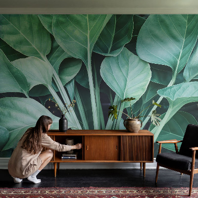 Dekoratívna fototapeta na stenu Zelená príroda