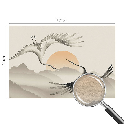 Moderná fototapeta Východné žeriavy