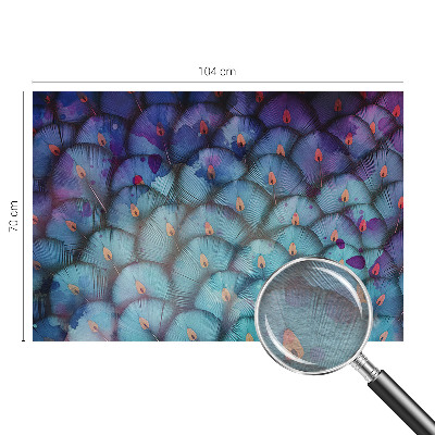 Vliesová fototapeta do obývačky Farebné perie