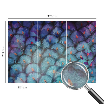 Vliesová fototapeta do obývačky Farebné perie