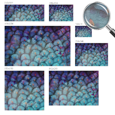 Vliesová fototapeta do obývačky Farebné perie