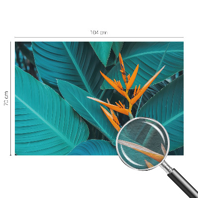 Fotografická tapeta vliesová Listnaté kvety