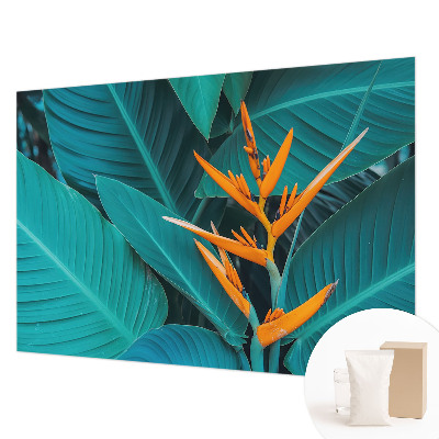 Fotografická tapeta vliesová Listnaté kvety