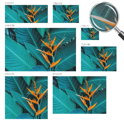 Fotografická tapeta vliesová Listnaté kvety