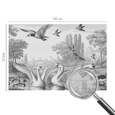 Fototapeta Klasická krajina