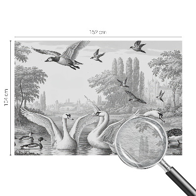 Fototapeta Klasická krajina