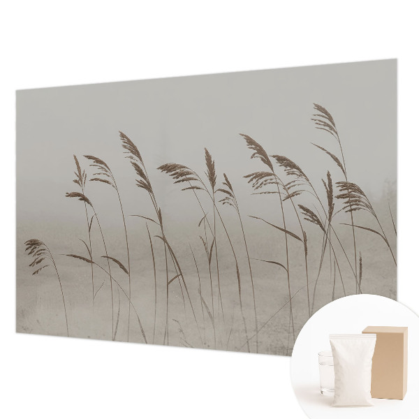 Dekoratívna fototapeta na stenu Trávy v hmle
