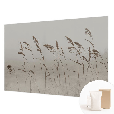 Dekoratívna fototapeta na stenu Trávy v hmle