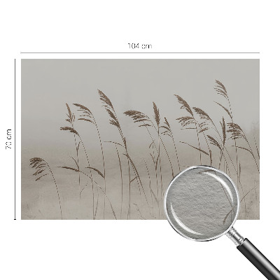 Dekoratívna fototapeta na stenu Trávy v hmle