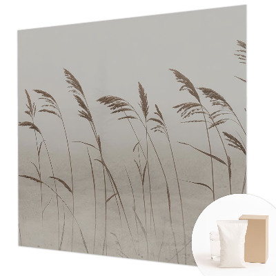 Dekoratívna fototapeta na stenu Trávy v hmle