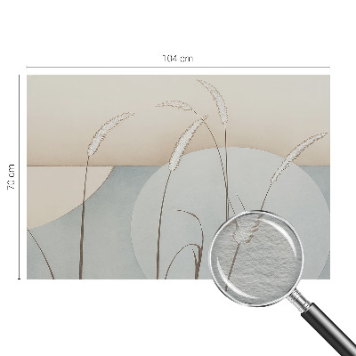 Fototapeta na mieru do spálne Jemné trávy