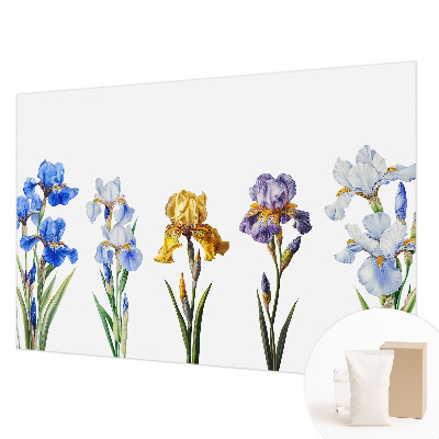 Moderná fototapeta Kvety kosatcov