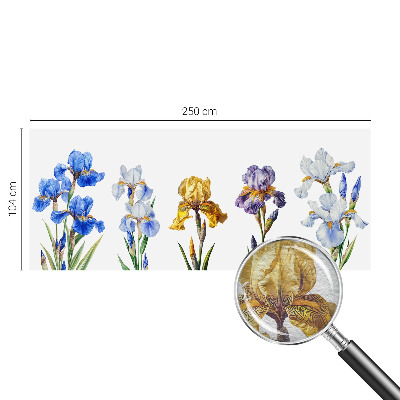 Moderná fototapeta Kvety kosatcov