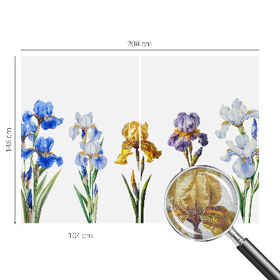 Moderná fototapeta Kvety kosatcov