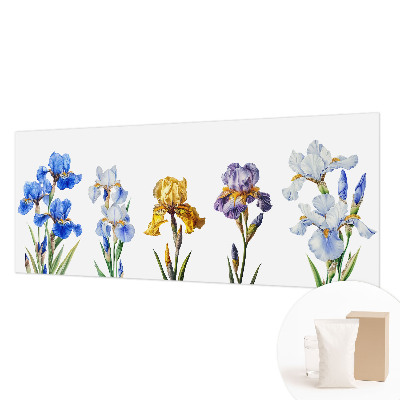 Moderná fototapeta Kvety kosatcov