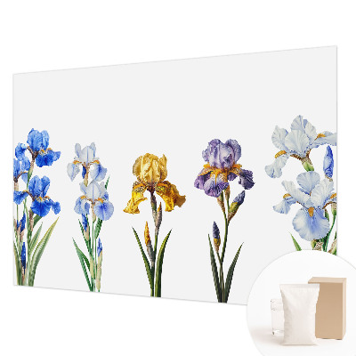 Moderná fototapeta Kvety kosatcov