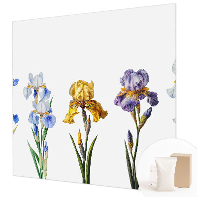 Moderná fototapeta Kvety kosatcov