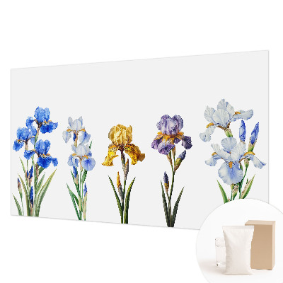 Moderná fototapeta Kvety kosatcov