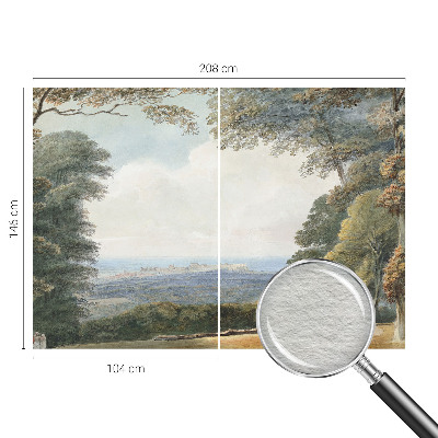 Fototapeta na stenu Zalesnená krajina