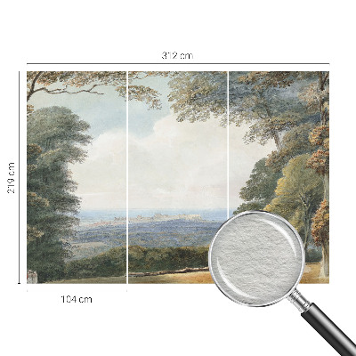 Fototapeta na stenu Zalesnená krajina