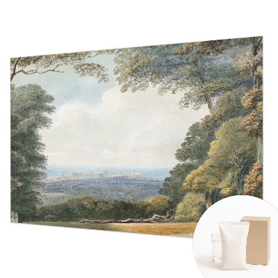 Fototapeta na stenu Zalesnená krajina