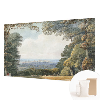 Fototapeta na stenu Zalesnená krajina