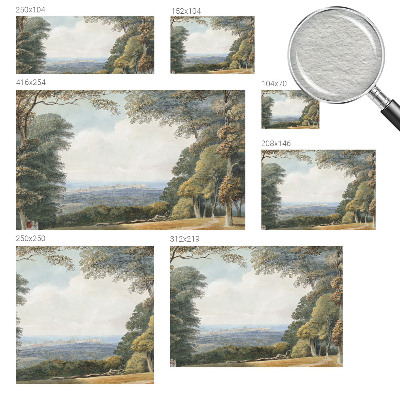 Fototapeta na stenu Zalesnená krajina