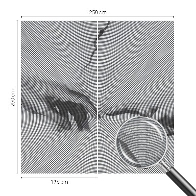 Fototapeta do spálne Hypnotické ruky