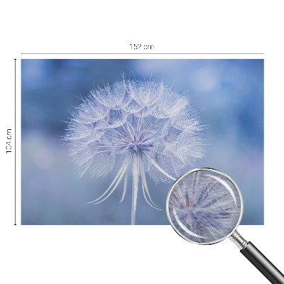 Fotografická tapeta na vliese Modrá pochúťka