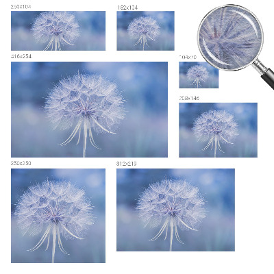 Fotografická tapeta na vliese Modrá pochúťka