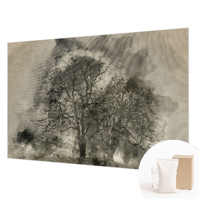 Moderná fototapeta Tajomné stromy