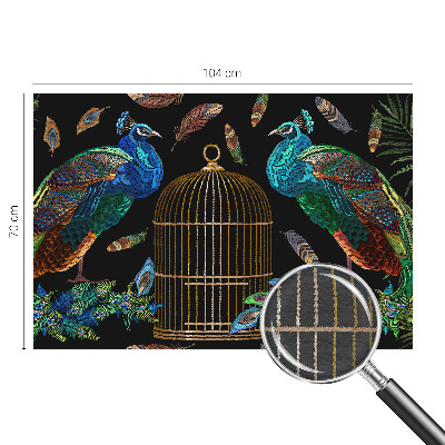 Fototapeta na mieru Obrázok páva