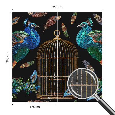 Fototapeta na mieru Obrázok páva