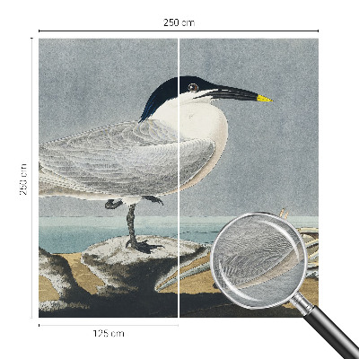 Fototapeta do obývačky Ornitologická elegancia