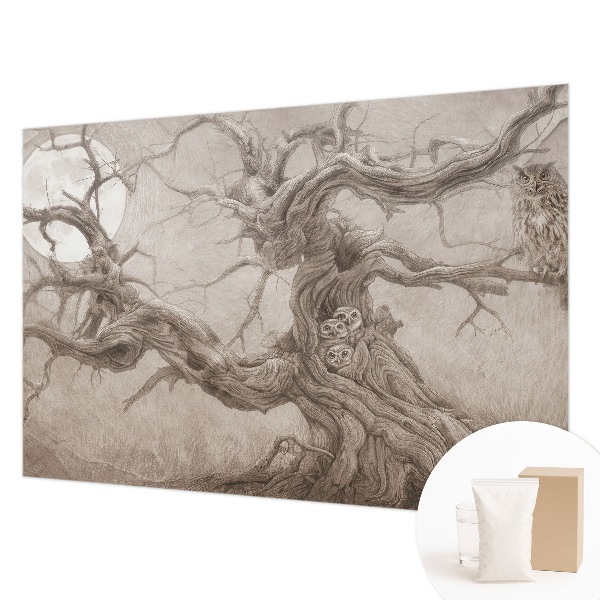 Vliesová fototapeta do spálne Nočné vtáky